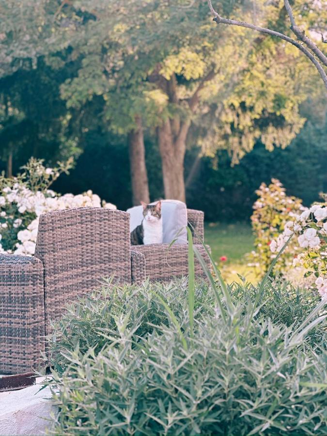 Maison Francoise Bed & Breakfast เอ็ก-ซอง-โพรวองซ์ ภายนอก รูปภาพ